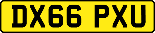 DX66PXU