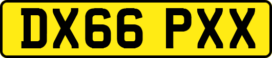 DX66PXX