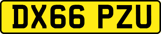 DX66PZU