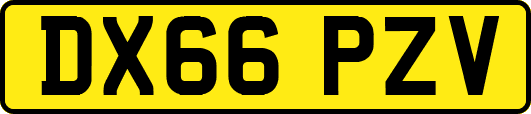 DX66PZV