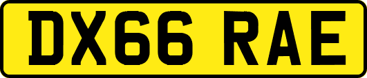 DX66RAE