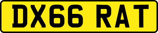 DX66RAT