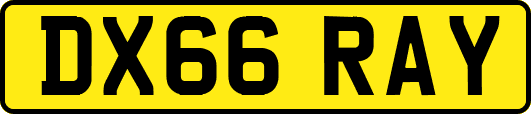 DX66RAY