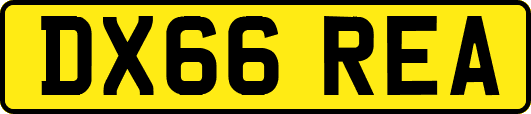 DX66REA