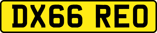 DX66REO
