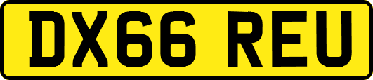 DX66REU