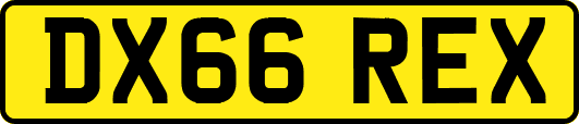 DX66REX