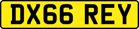 DX66REY