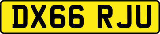 DX66RJU