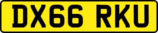 DX66RKU