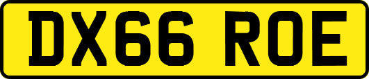 DX66ROE
