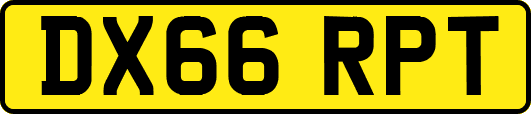DX66RPT