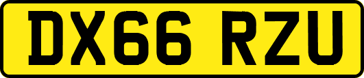 DX66RZU