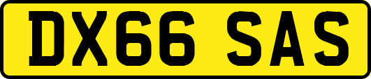 DX66SAS