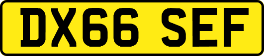 DX66SEF