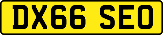DX66SEO