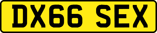 DX66SEX