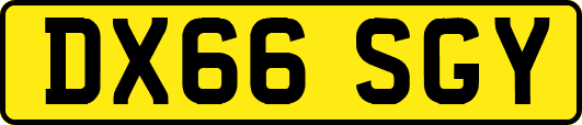 DX66SGY
