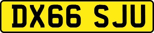 DX66SJU