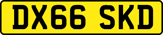 DX66SKD