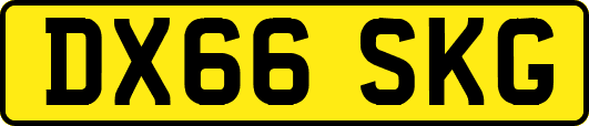 DX66SKG