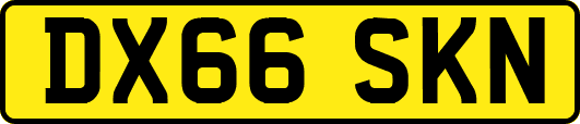 DX66SKN