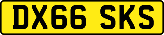DX66SKS