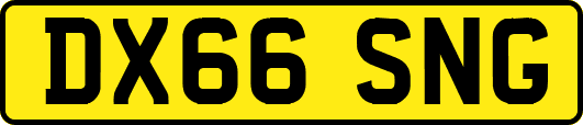 DX66SNG