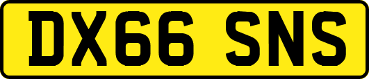 DX66SNS