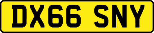 DX66SNY
