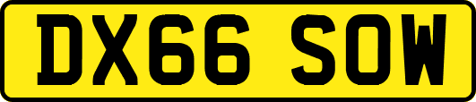 DX66SOW