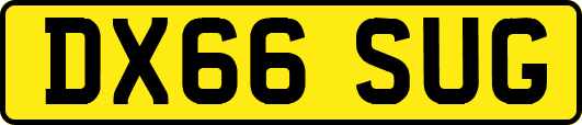 DX66SUG