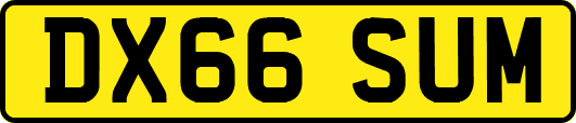 DX66SUM