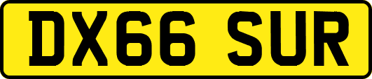 DX66SUR