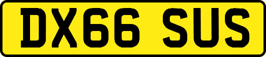 DX66SUS