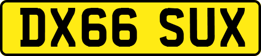 DX66SUX