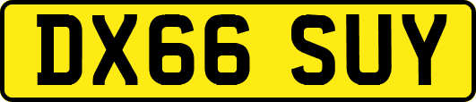 DX66SUY