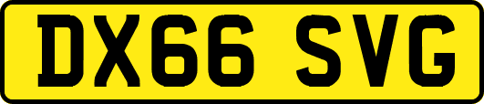 DX66SVG