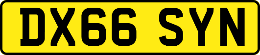 DX66SYN