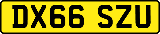 DX66SZU