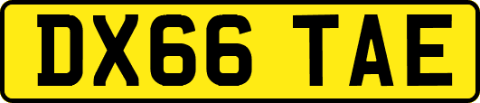 DX66TAE
