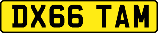 DX66TAM