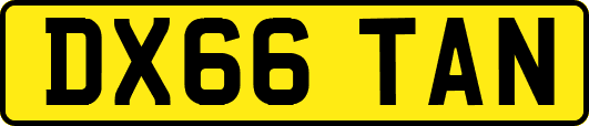 DX66TAN