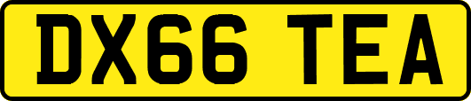 DX66TEA