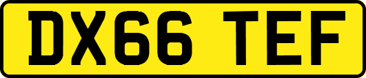 DX66TEF