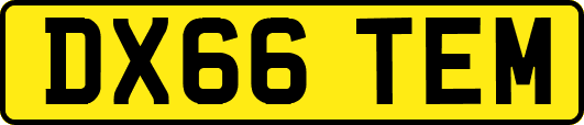 DX66TEM