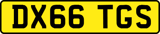 DX66TGS