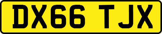 DX66TJX
