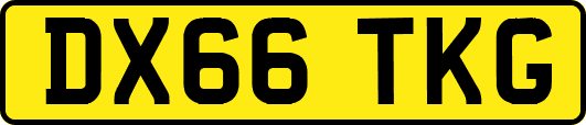 DX66TKG