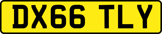 DX66TLY